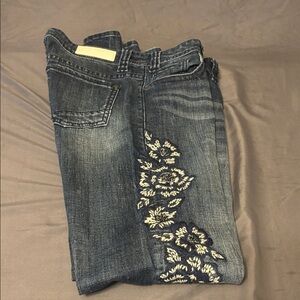 Rock&roll cowgirls Embroidered Blue Jeans